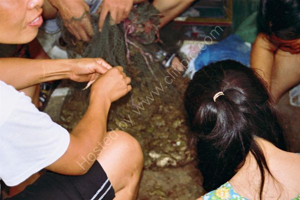 Frogs Legs Preparation, Old Town, Wuxi